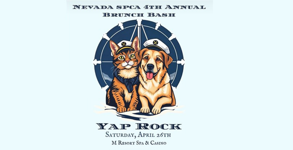 Nevada SPCA Yap Rock 2025